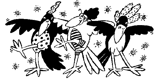 Birds picture