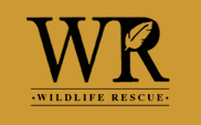 Wildlife Rescue [click for home]