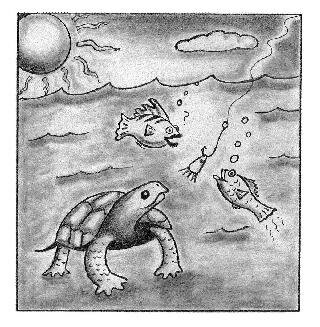 turtle and fish picture