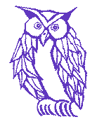 Owl Image